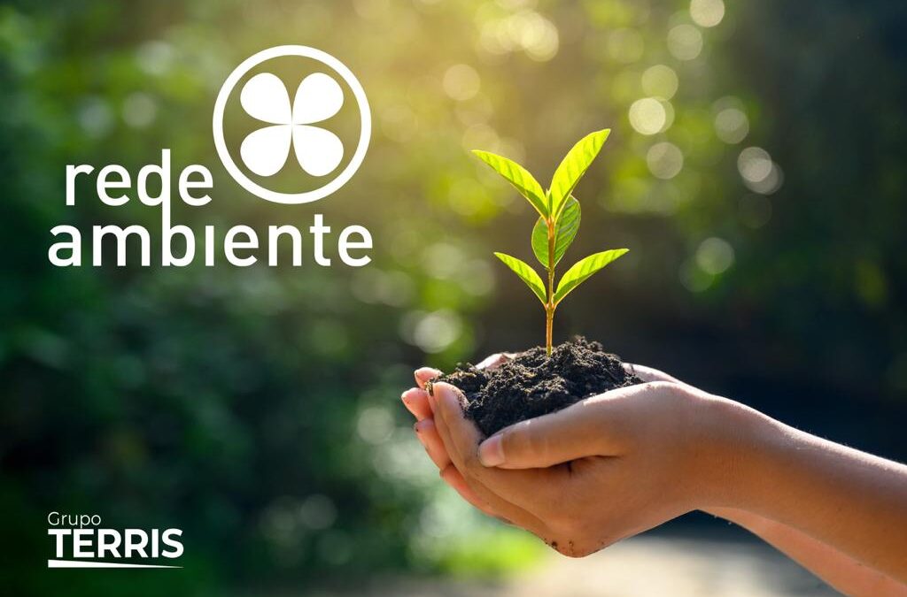 Rede Ambiente: A sustentabilidade como objetivo das empresas